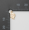 Tiny Zodiac Sign Charm
