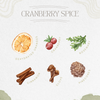 Cranberry Spice Simmer Pot