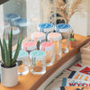 Anchor Can Glass - 16 oz