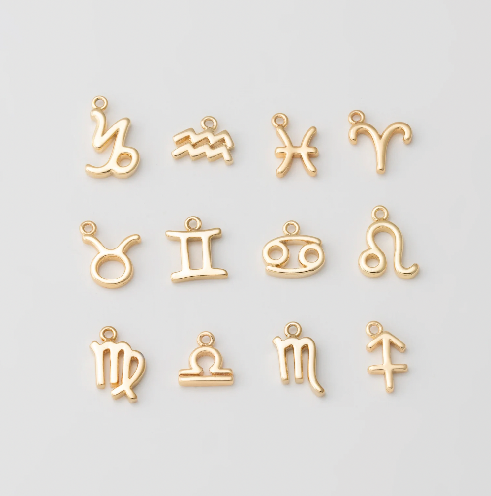 Tiny Zodiac Sign Charm