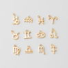Tiny Zodiac Sign Charm