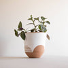 Tala Planter - Large