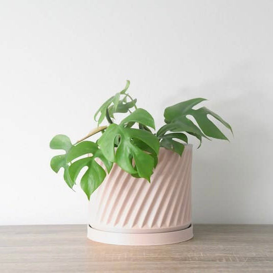 The Penelope Planter in Light Pink