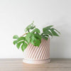 The Penelope Planter in Light Pink