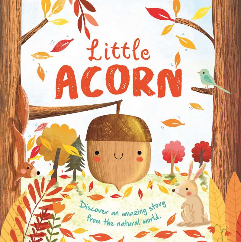 Little Acorn: Discover an Amazing Story from the Natural World