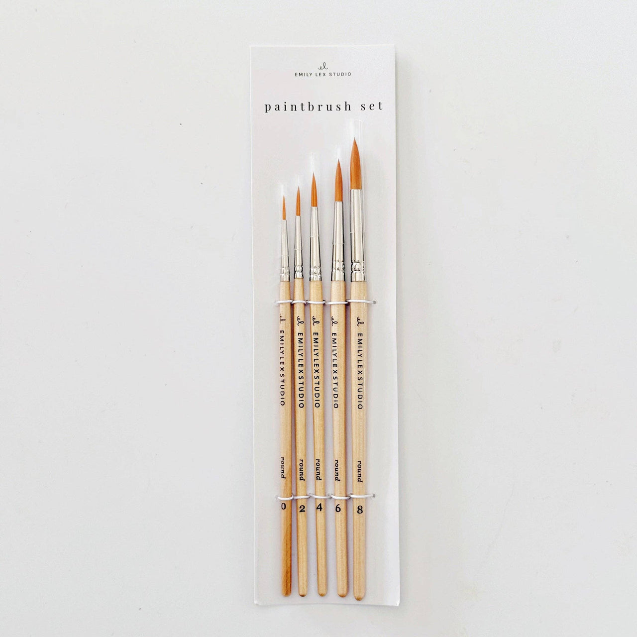 Watercolor Paintbrush Set of Five Wood Brushes