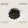 Jasmine Green Tea Mini Tube - 5 tea bags