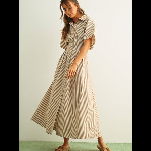Striped Button Down Shirt Dress - Brown Stripe