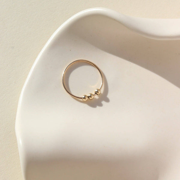 Meridian Fidget Ring - 14k Gold Fill