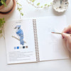 Birds Watercolor Workbooks