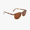 Bean Classic Tortoise Polarized Unisex Round Classic Sunglasses