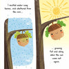 Little Acorn: Discover an Amazing Story from the Natural World