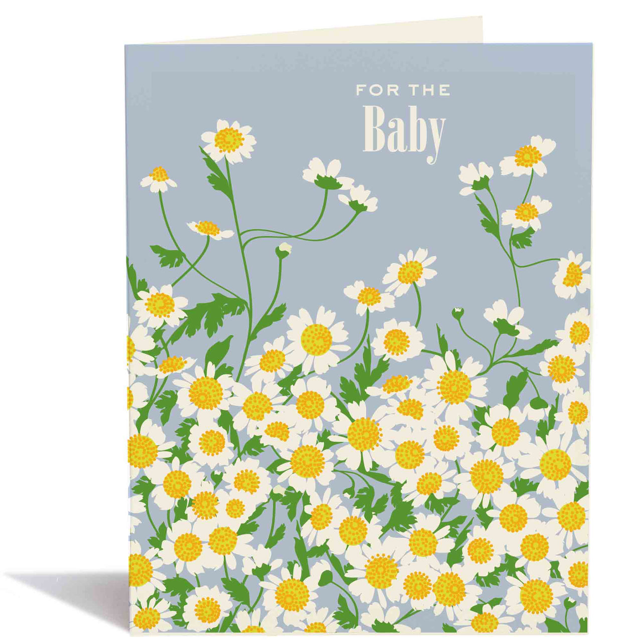 Baby Chamomile Card