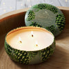 Roland Pine Three-Wick Tin Soy Candle