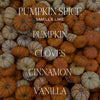 Pumpkin Spice Soy Candle- Matte Jar