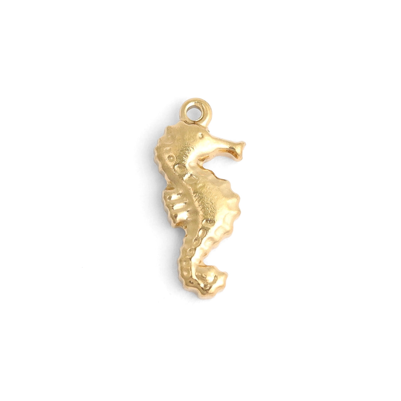 Seahorse Charm