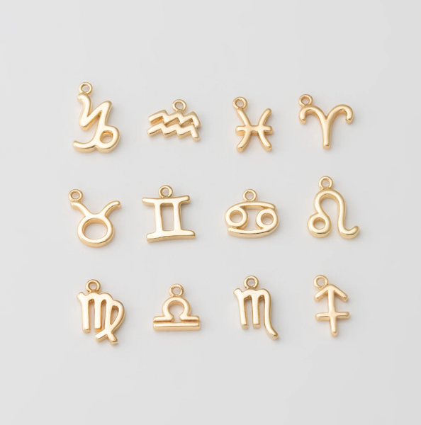 Tiny Zodiac Sign Charm