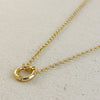 18k Gold Filled Rolo Chain Necklace Featuring Carabiner Clasp