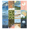 2024 XL Calendar - Natural World