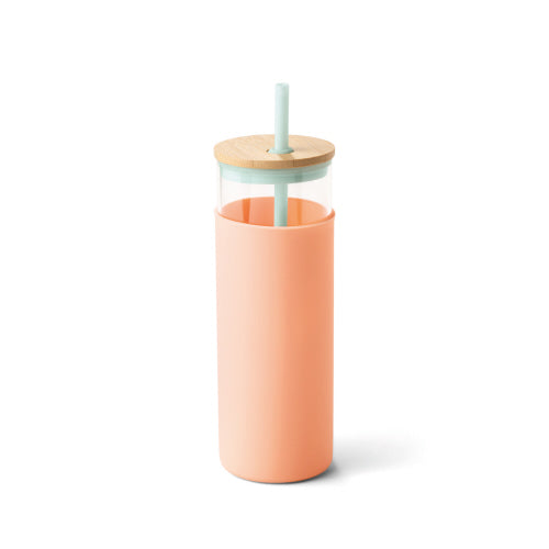 Tumbler With Straw - Mint Peach