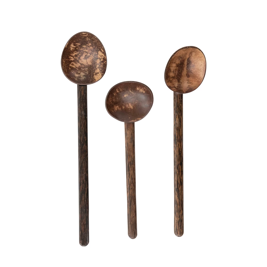 Coconut Shell Spoon with Mango Wood Handle