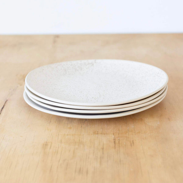 Catch All Plate in Dock
