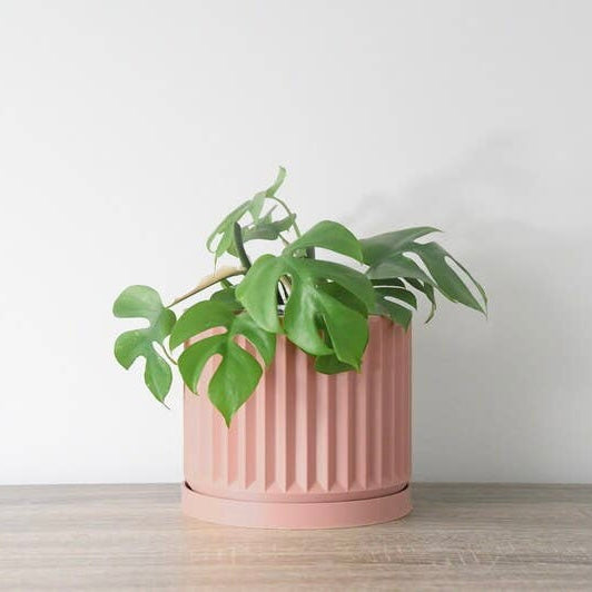 The Spring Breeze Planter in Country Pink